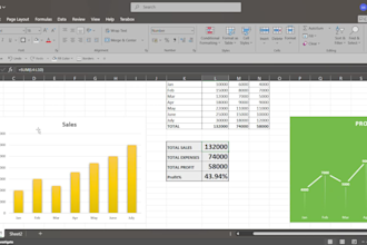 create excel mis reports and financial dashboards