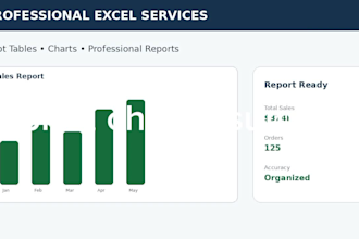 create professional excel spreadsheets, formulas and reports