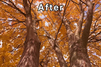improve, upscale, denoise, and enhance your video