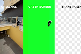 professionally remove background from any video