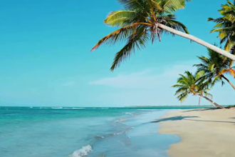 edit cinematic travel videos, travel vlogs, vacation reels, and tourism videos