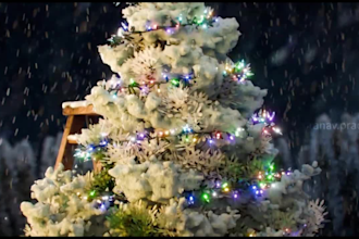 create 3d christmas animation for holiday for kid, 3d animated music video