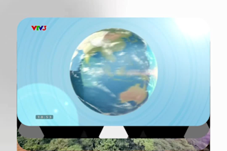 create engaging 2d motion graphics and animated videos