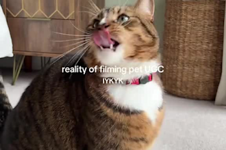 create authentic pet ugc video with my dog and cats for pet brands and products