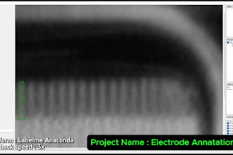 do image annotation, polygon, bounding box, data labeling and transcription