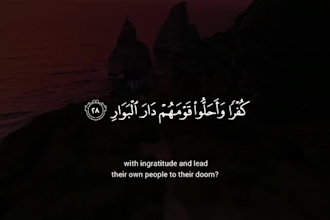 edit surah and ayat videos with beautiful islamic subtitles