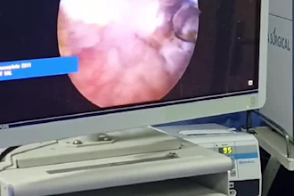 create medical content, provide trilingual translation, and design presen