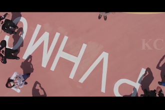 provide vfx cleanup, object removal and wire removal