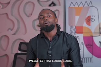 design a professional responsive wordpress site in 24 hours