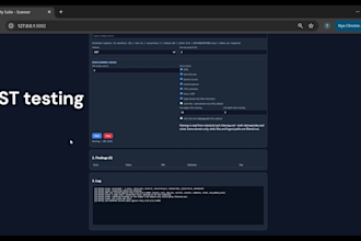 perform owasp penetration testing and web app security audit