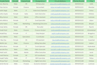 professionally format and organize your excel spreadsheets