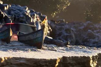 add realistic 3d water simulation ocean fire smoke and vfx to your video houdini