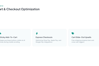 do a video UX and conversion rate audit for your shopify store