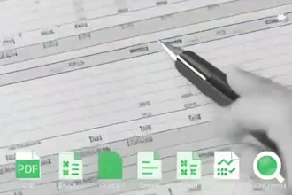 do fast manual data entry from pdf image, handwritten to excel CSV