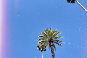 film and edit social media content for la businesses and models