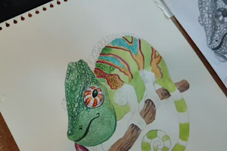 draw custom wildlife animal art
