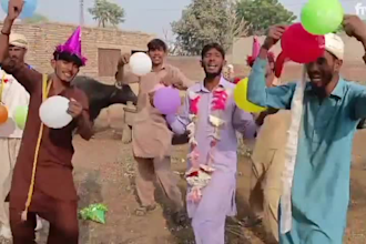 wish happy birthday video or africa happy birthday video