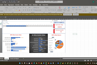professional excel data cleanup service