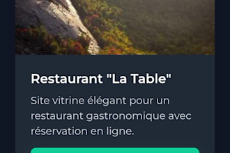 site vitrine rapide animé et professionnel HTML  CSS et js