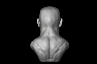 sculpt realistic 3d head model, creature stl and bust for 3d printing