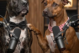 create realistic ai talking dog videos with voice and lip sync