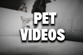 edit short reels youtube,intergram and tiktok