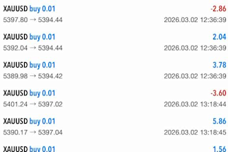 install profit forex trading bot trading robot scalping trading gold forex ea