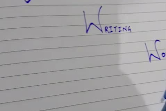 write assignments for you