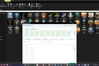 provide a professional batch file renamer desktop software for windows