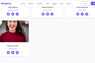 je developpe un site web vitrine professionnel responsive