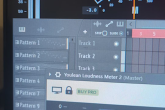 professionally master your hardstyle or house track to competitive loudness