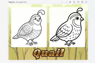 create a editable canva templates