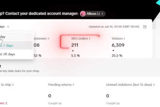 do a tiktok shop consultation and strategy session