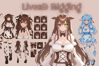 do live2d rigging 2d vtuber avatar for vtube studio