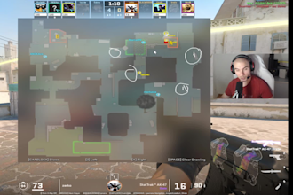 coach you in cs2 as a professional counter strike coach