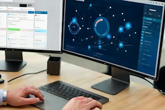 website and web app development services