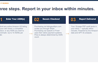 deliver a 19 page amazon listing audit report in minutes