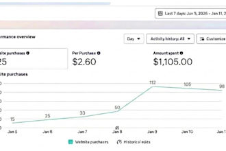 generate pest control, termite control leads via facebook and google ads