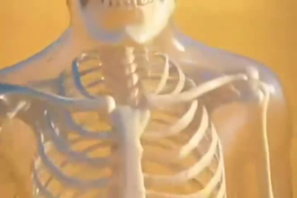 create viral 3d ai skeleton storytelling shorts for youtube and tiktok