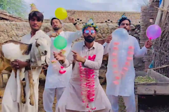funny happy birthday video or happy birthday video