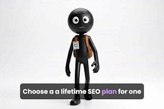 lifetime onpage SEO and indexer service