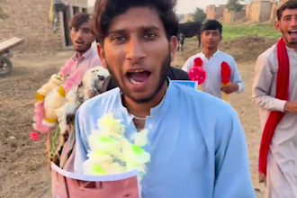 wish happy birthday video or african happy birthday video