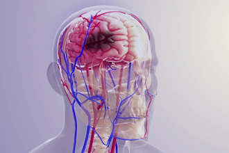 create professional 3d medical and scientific animation explainers