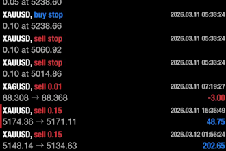 build profitable forex trading bot, forex ea, gold ea, forex bot, trading bot