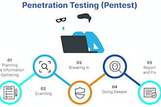 perform professional website penetration testing and security audit