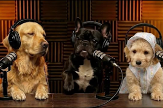 create a funny talking pet video from your dog or cat photo