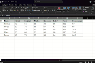 do excel data entry, formatting and spreadsheet work