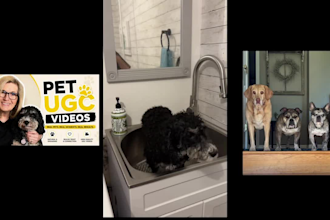 create ugc videos for your dog and pet product for tiktok, reels, amazon
