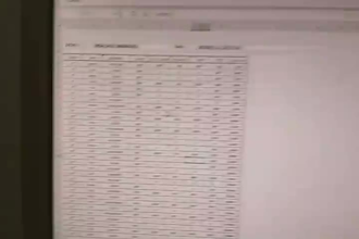 create professional field force expense sheet with auto formulas