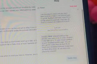 manage your ebay account as a virtual assistant, VA and related issues